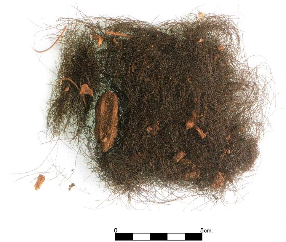 cabello cova des càrritx
