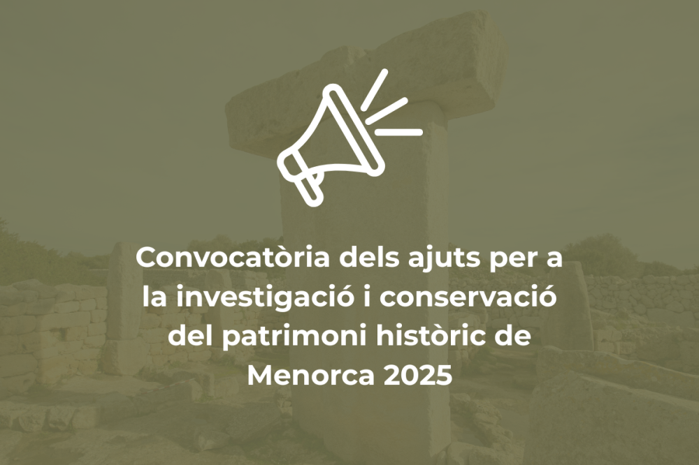 Ajuts 2025